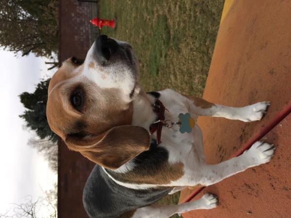 /Images/uploads/Humane Society of Utah/HSUCalendar/entries/786thumb.jpg